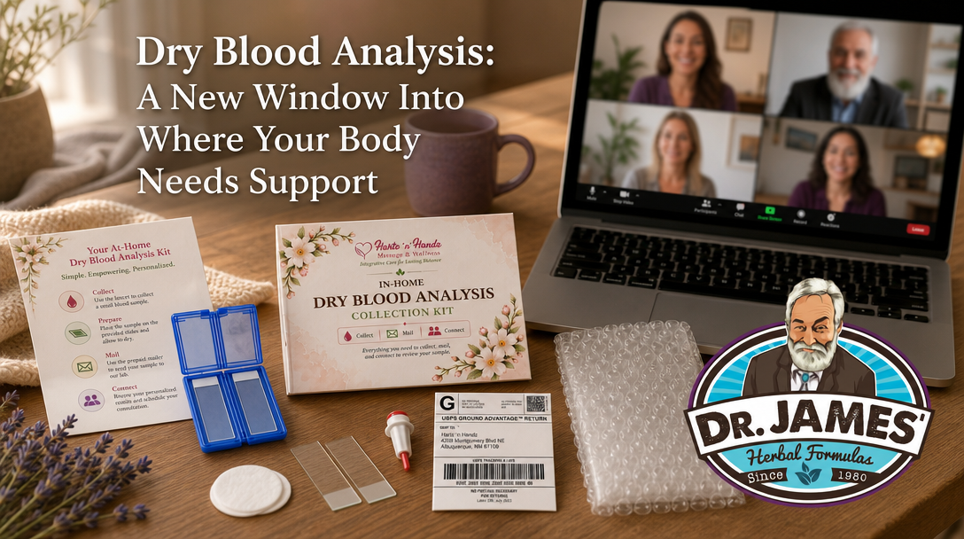 Dry Blood Analysis: A New Window Into Where Your Body Needs Support