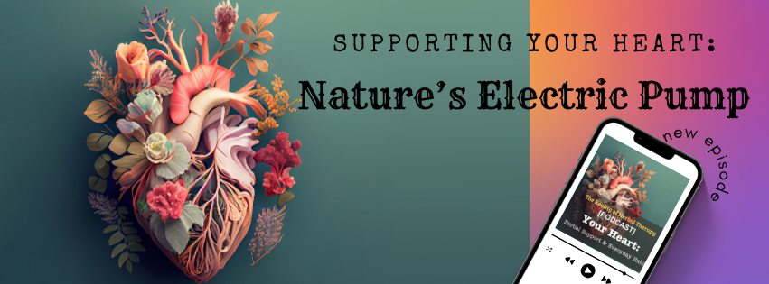 Supporting Your Heart: Nature’s Electric Pump