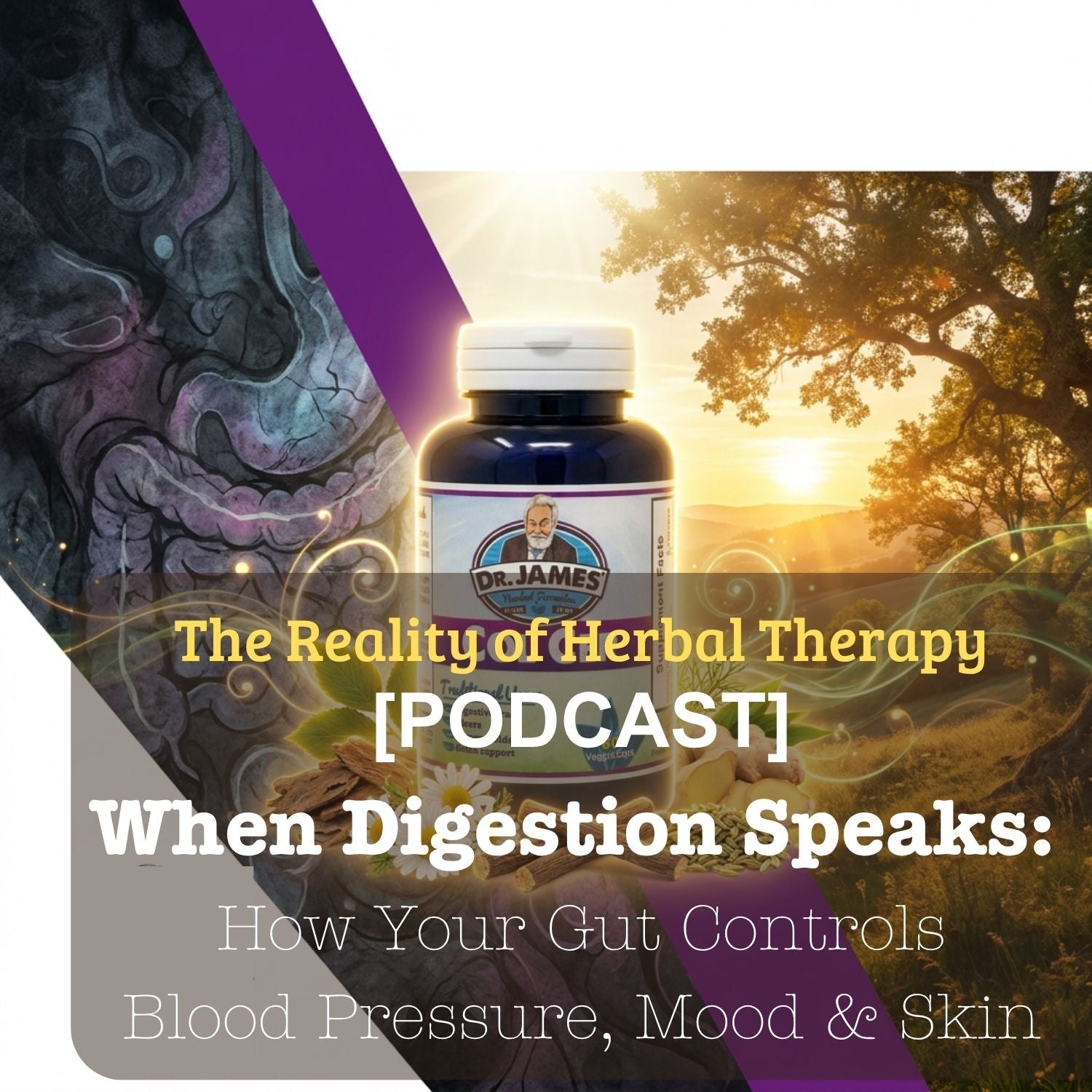 When Digestion Speaks: How Your Gut Controls Blood Pressure, Mood & Skin