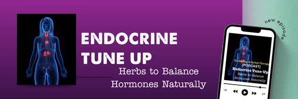 🌿 Understanding the Endocrine System