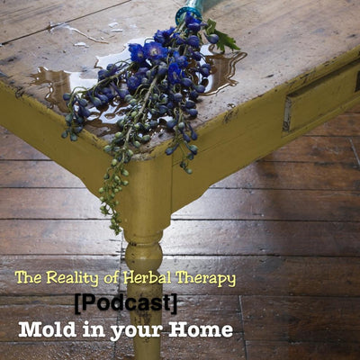 [Podcast] Mold in your Home