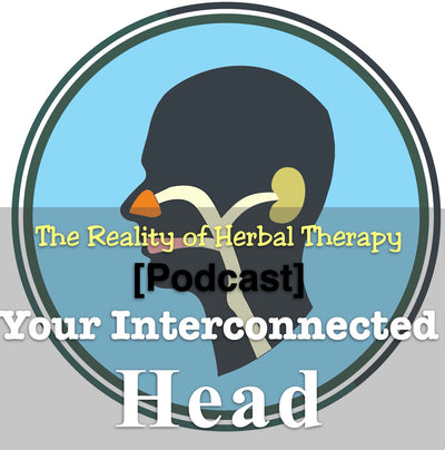 [Podcast] Your Interconnected Head