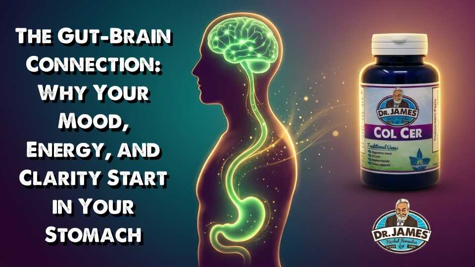 The Gut-Brain Connection: Why Your Mood, Energy, and Clarity Start in Your Stomach