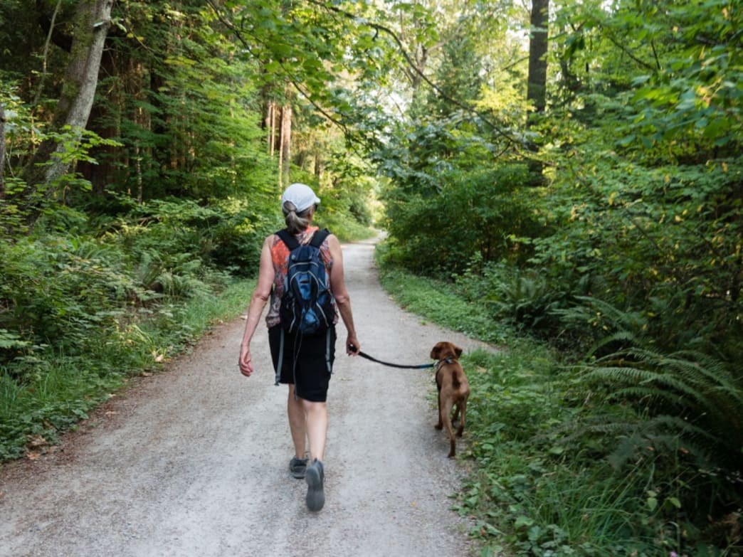 The right way to walk your dog