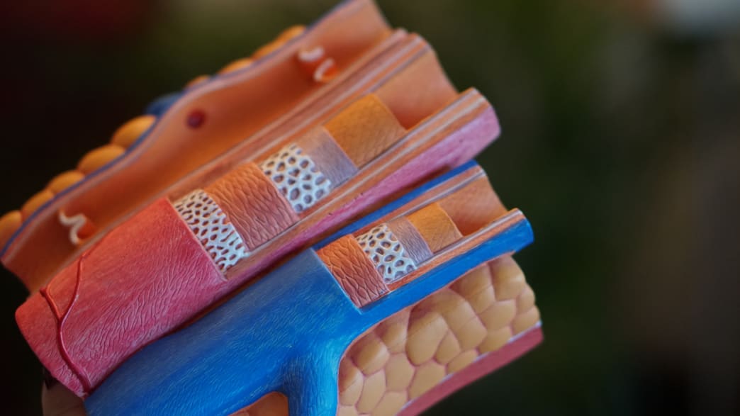 8 Artery-Smart Supplements