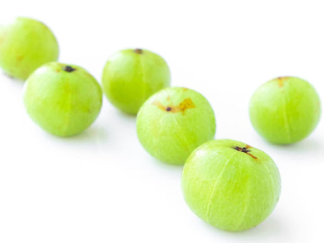 The Top 7 Adaptogen Herbs