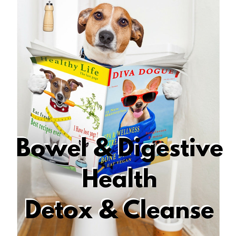 Bowel, Urinary, and Digestive Health