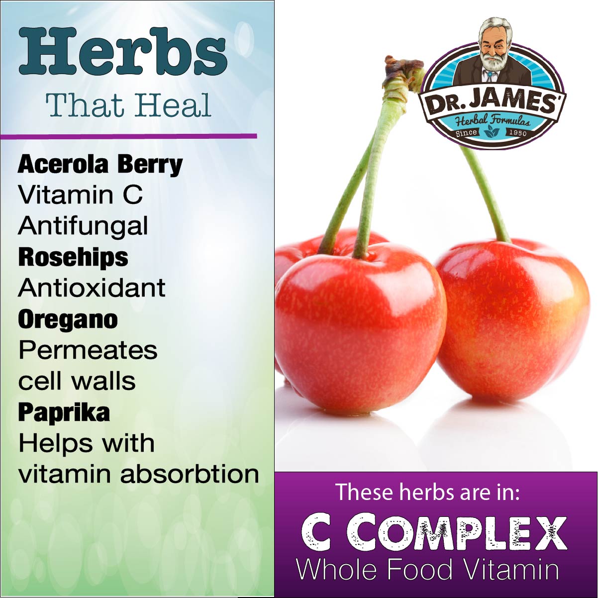 C Complex (Whole Food Vitamin)