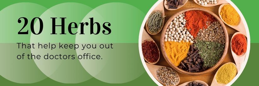 🌿 Discover the Healing Power of 20 Everyday Herbs