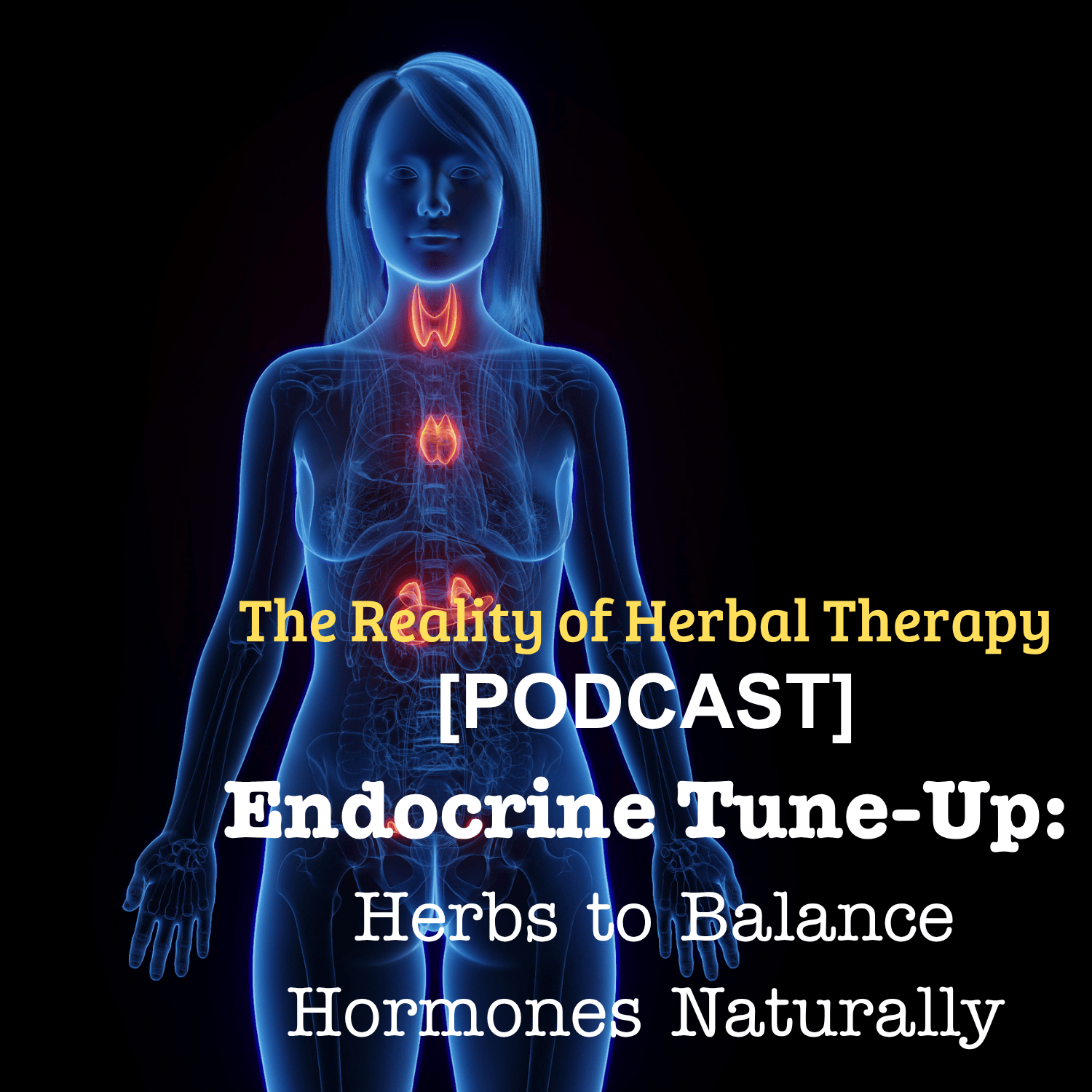 [Podcast] Endocrine Tune-Up: Herbs to Balance Hormones Naturally