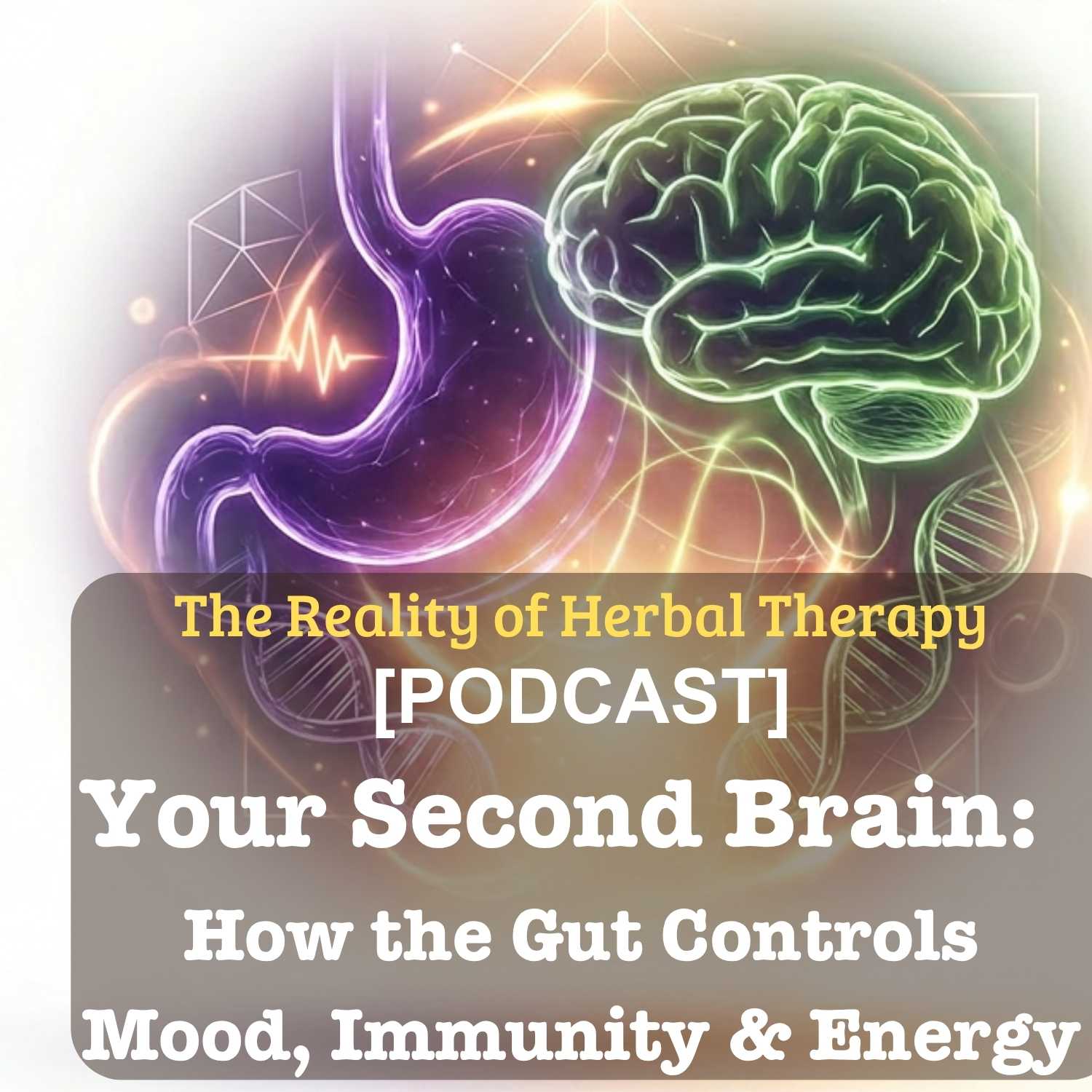 Your Second Brain: How the Gut Controls Mood, Immunity & Energy