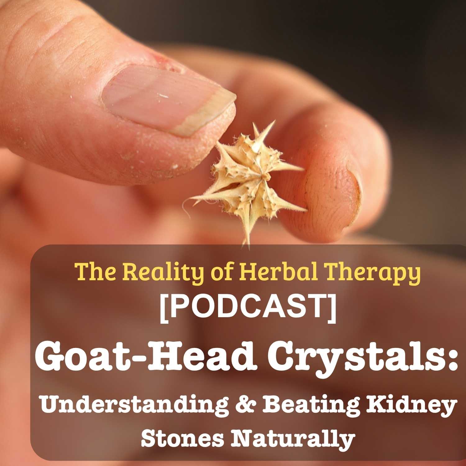 Goat-Head Crystals: Understanding & Beating Kidney Stones Naturally
