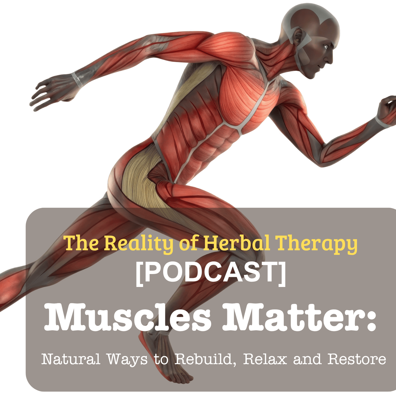 [Podcast] Muscles Matter: Natural Ways to Rebuild, Relax and Restore