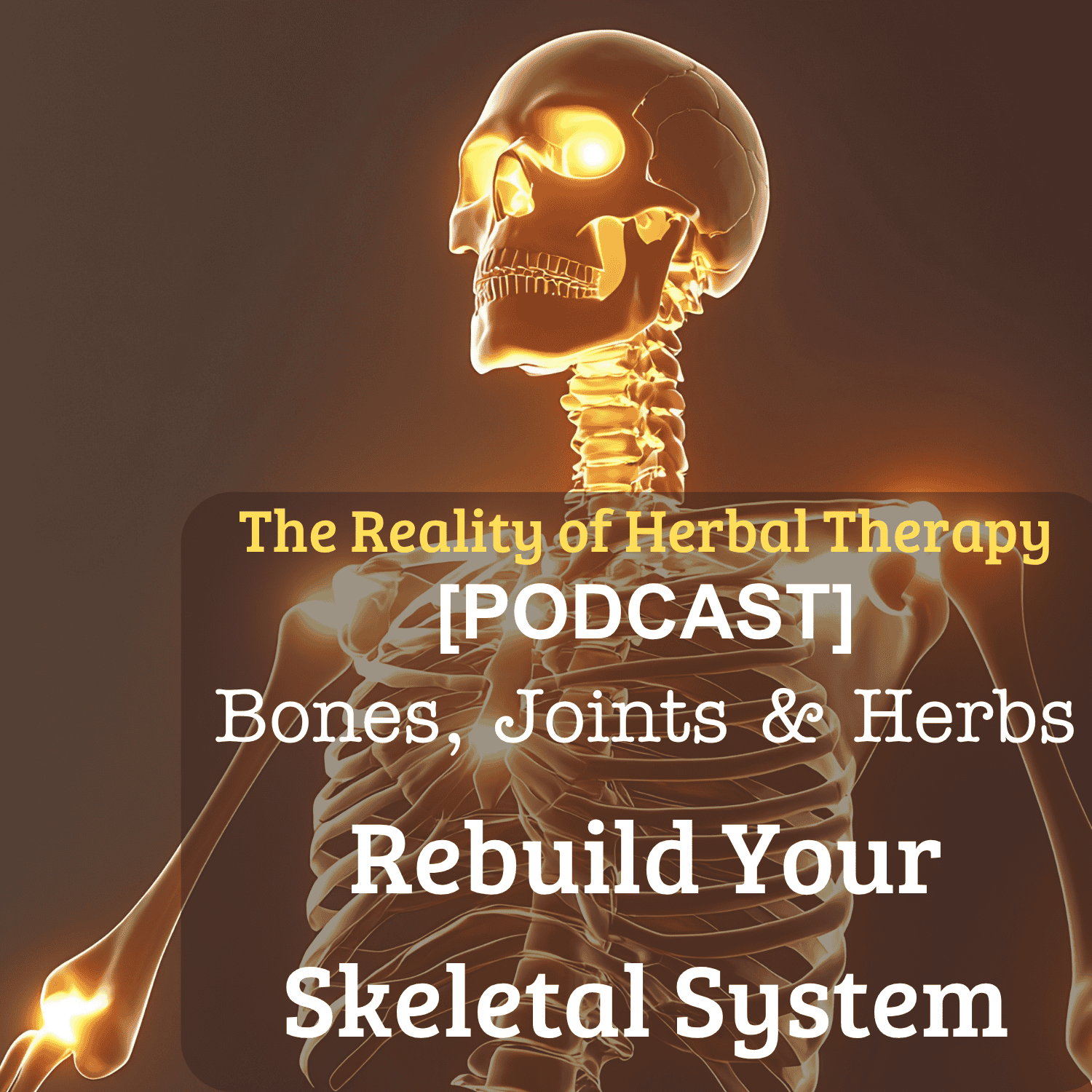 [Podcast] Bones, Joints & Herbs: Natural Strategies to Rebuild Your Skeletal System