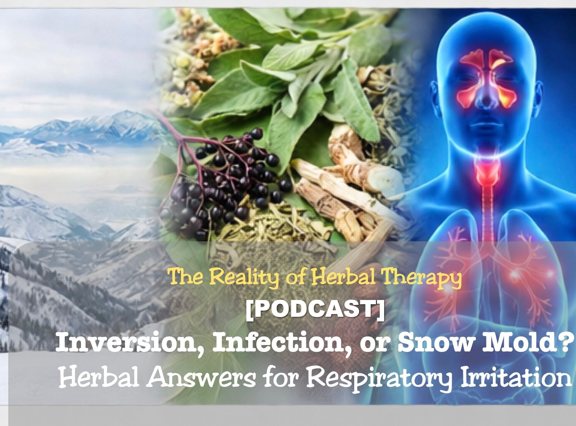 [Podcast] Inversion, Infection, or Snow Mold? Herbal Answers for Respiratory Irritation
