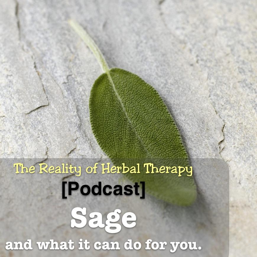 [PODCAST] Sage and what it can do for you.