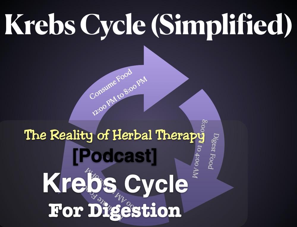 [Podcast] The Krebs Cycle for Digestion