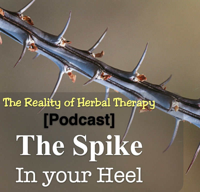 [Podcast] The Spike in Your Heel