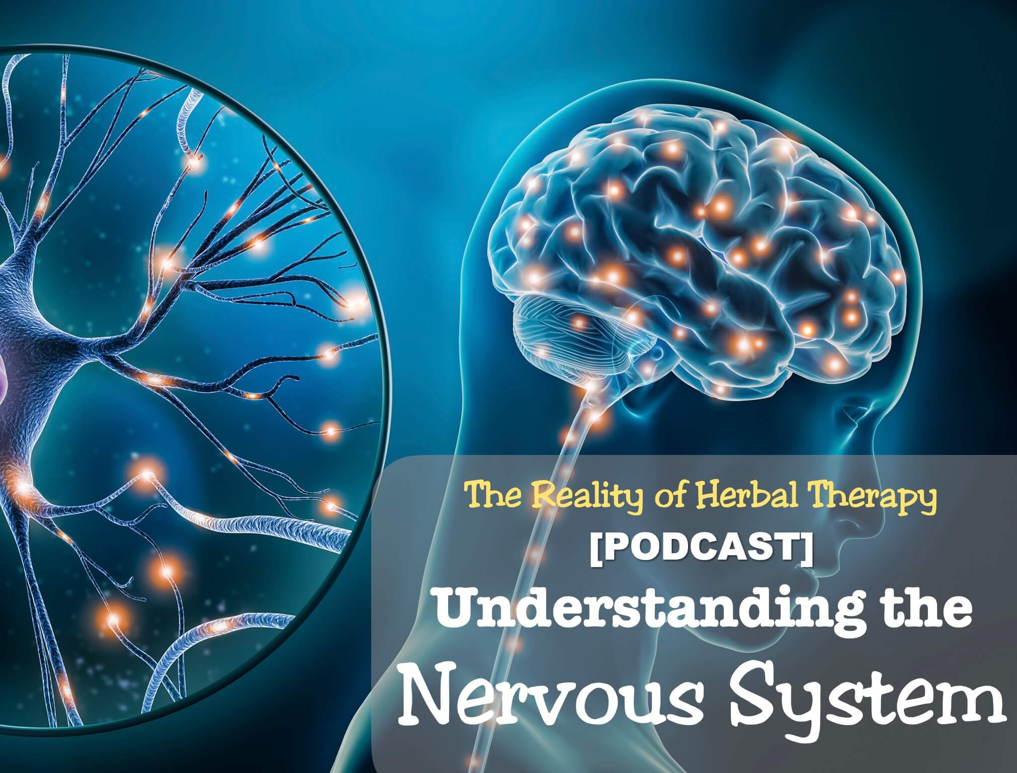 [Podcast] Understanding the Nervous System: Herbal Remedies for Stress, Anxiety, and Pain