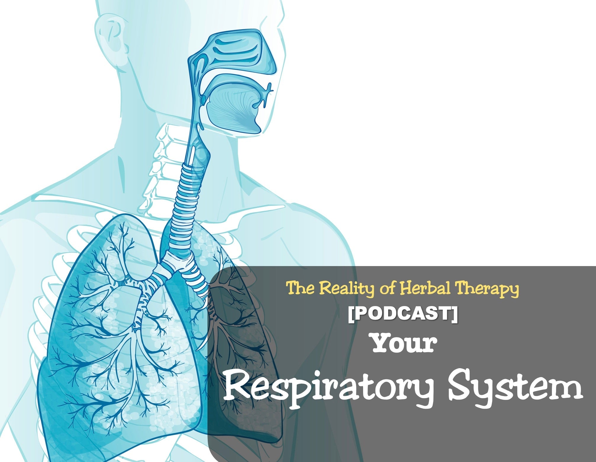 [Podcast] Your Respirtory System