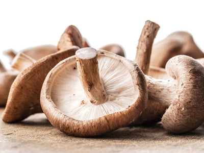 Medicinal Mushrooms Health Benefits