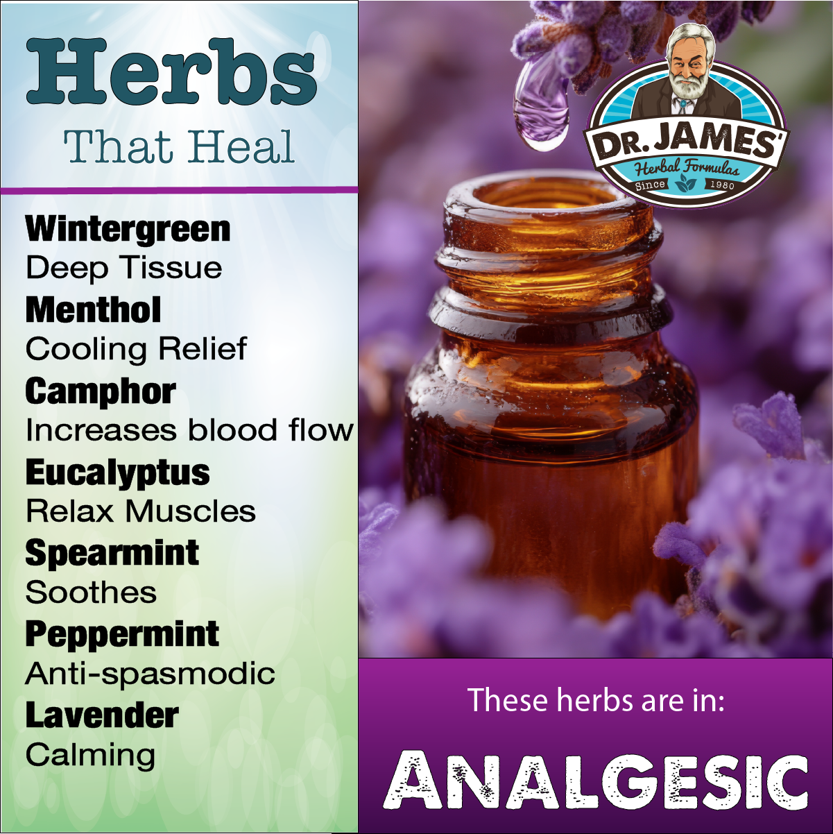 Analgesic Oil in a Roll on Bottle