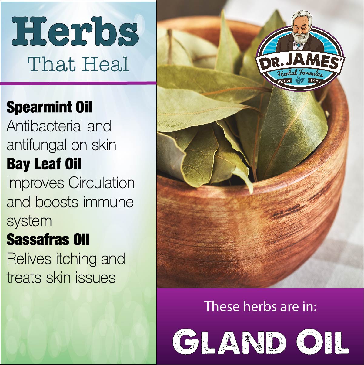 Gland Oil Concentrate 1dram