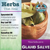 Gland Salve 2oz